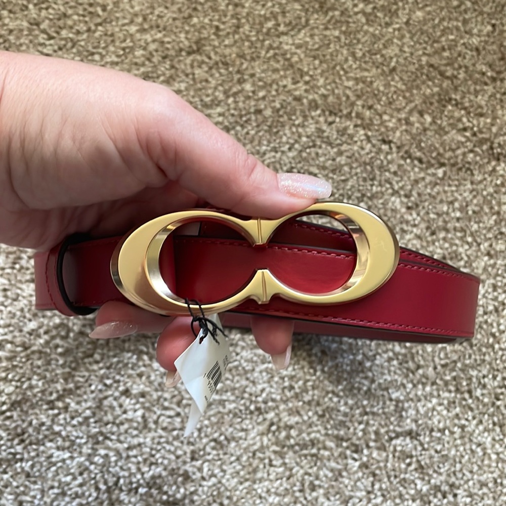 Coach belt